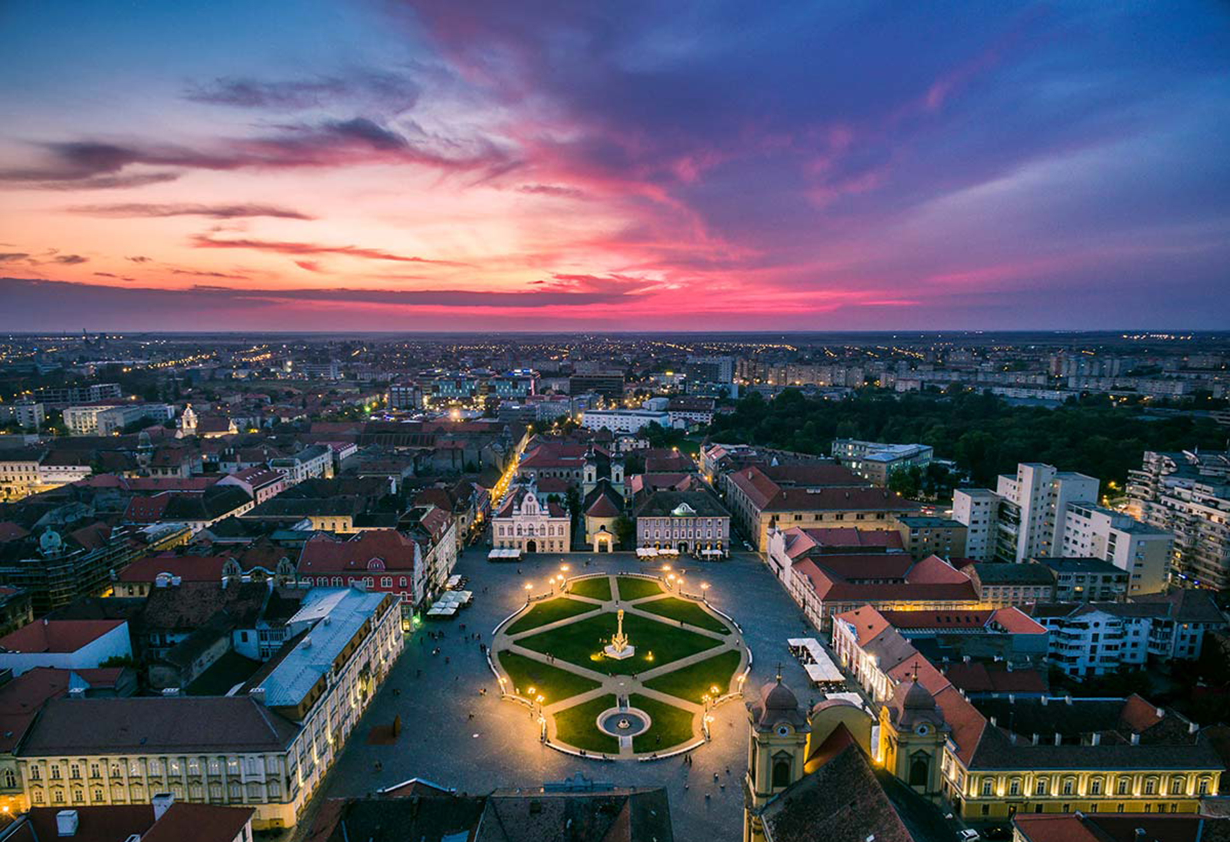 WCF International Cat Show Feb-2025 TEMESVÁR / TIMISOARA